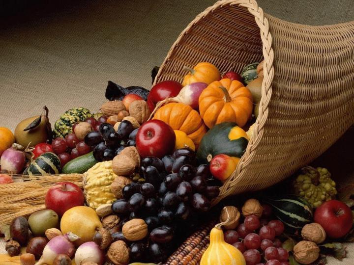 11.16.18 blog image 1